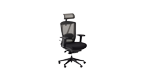scaun programator coloana dureri programare